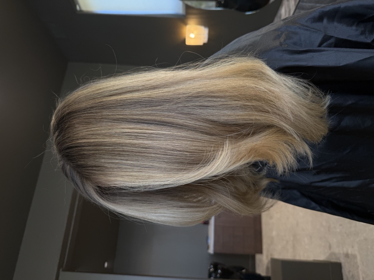 Blonde hair portfolio 23